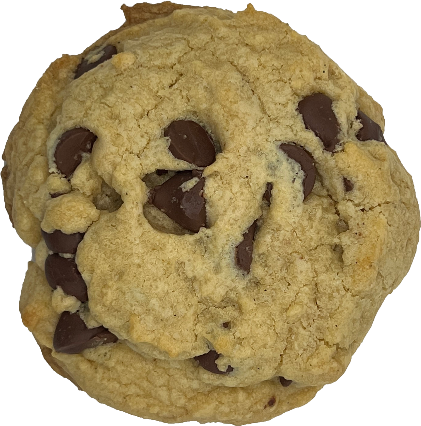 The Basic B (Half-Dozen, Chocolate Chip)